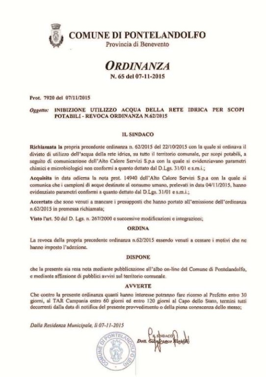 Ordinanza65-2015.pdf