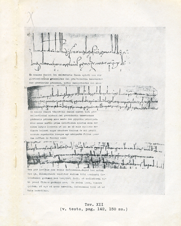 Senza titolo-3