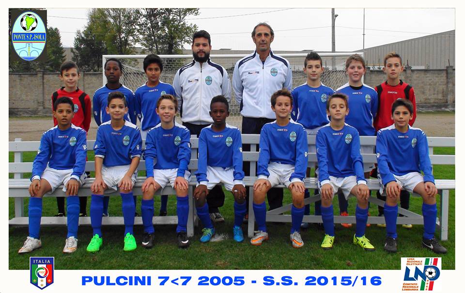 pulcini
