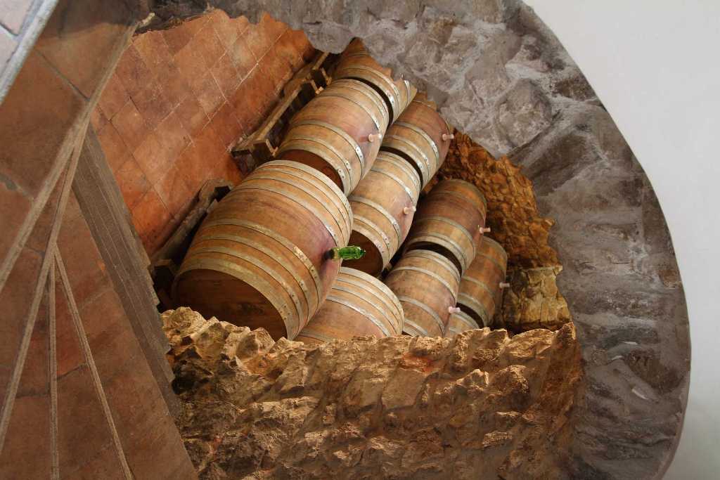 Articoli_4564_90