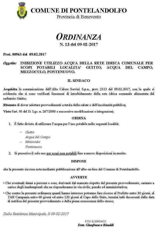 Ordinanza n. 13_2017