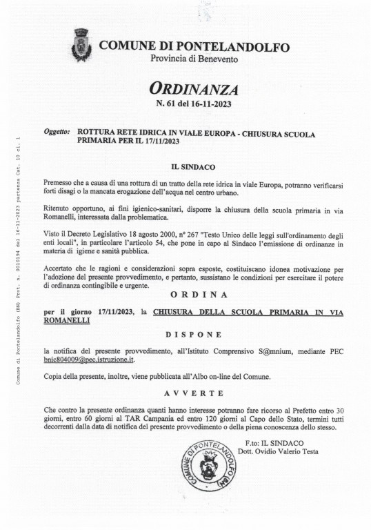 Ordinanza_61