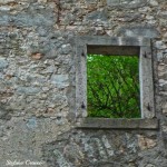 finestra-verde-150x150